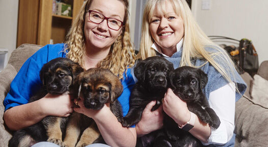 Melton Support Services backs guide dog puppy training
