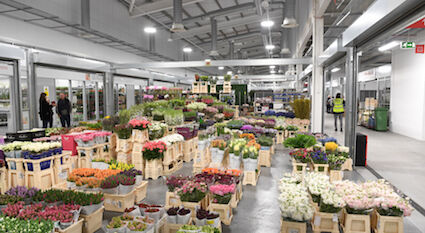 Fresh drains for New Covent Garden Market