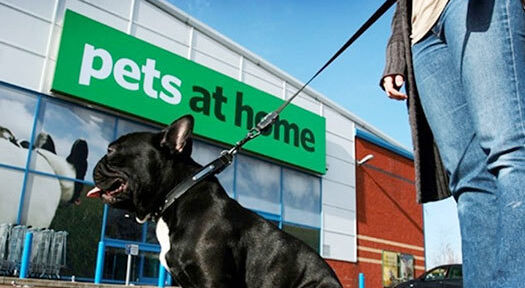 High level cleaning services for pet supermarket