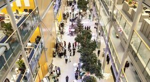 Historic Wellcome for Principle