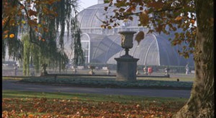 Everything looking rosy at Kew Gardens