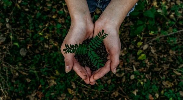 The Clean Space wins gold for carbon reduction