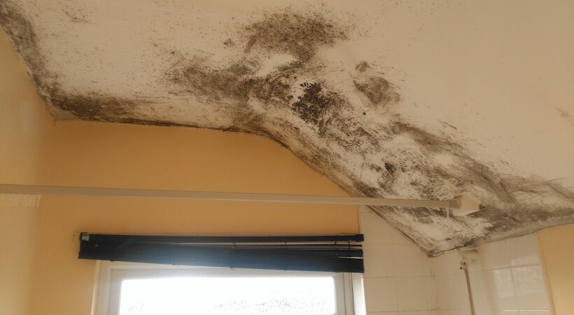 Safeguarding student properties against winter weather: preventing damp, condensation and mould
