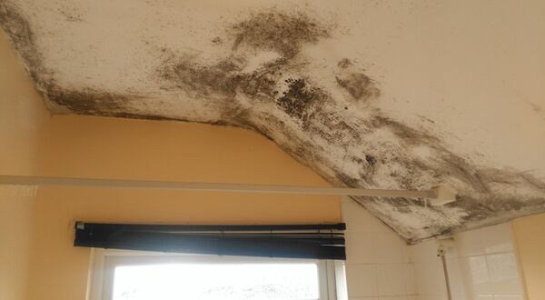 Safeguarding student properties against winter weather: preventing damp, condensation and mould